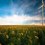 Wind mill installation in Los Angeles